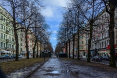 Stockholm_in_Sweden_winter_photo_Eva_von_Pepel-21